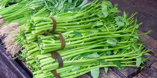 Kangkung